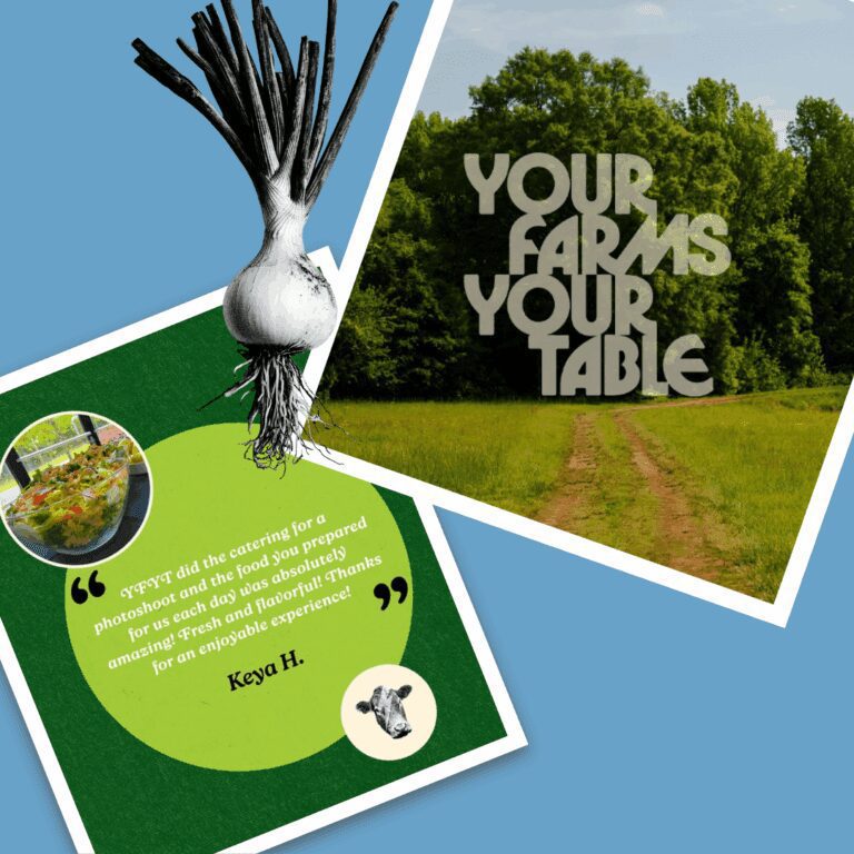 CPD Website_Social Media Examples (1)